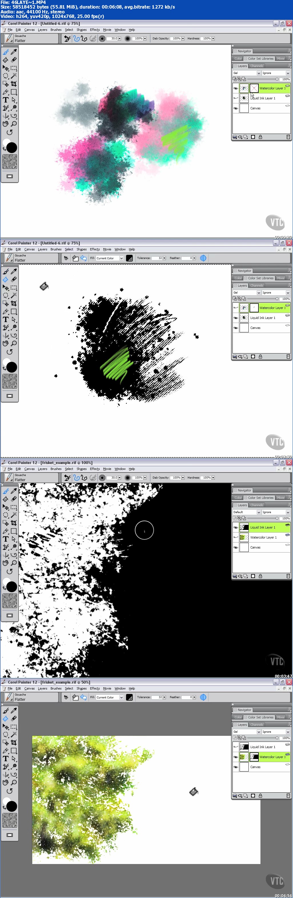 VTC - Corel Painter 12