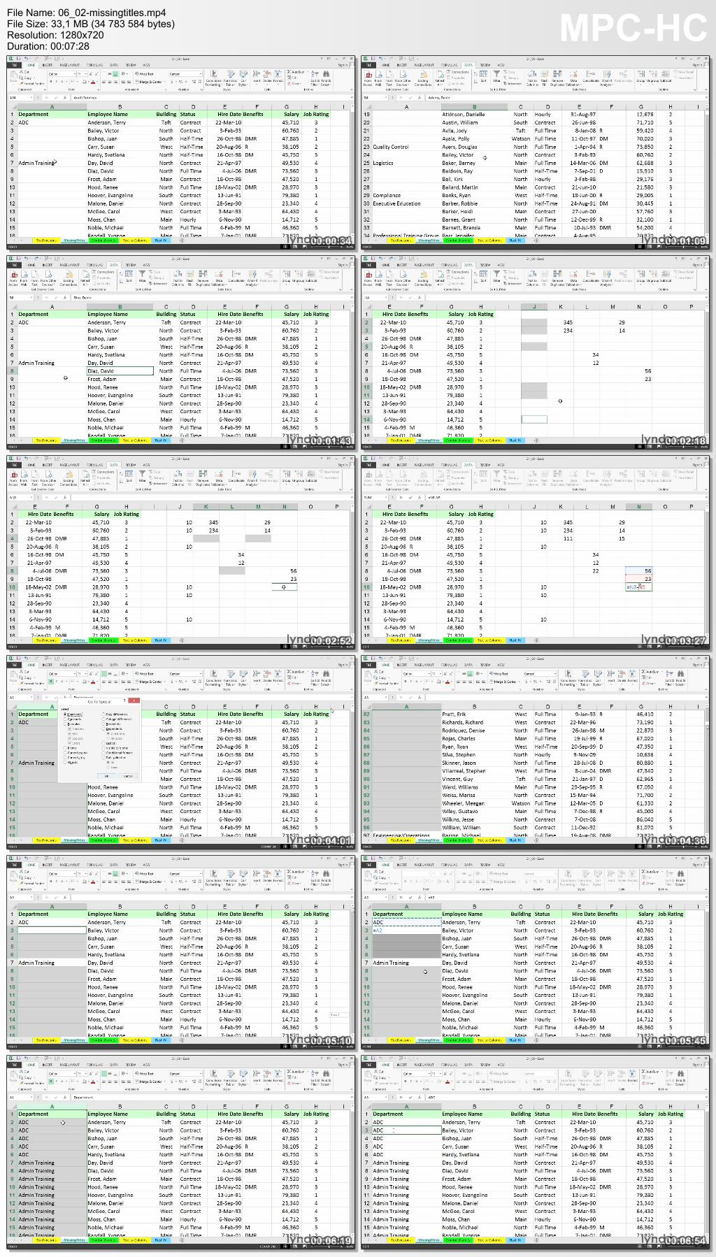 Lynda - Cleaning Up Your Excel 2013