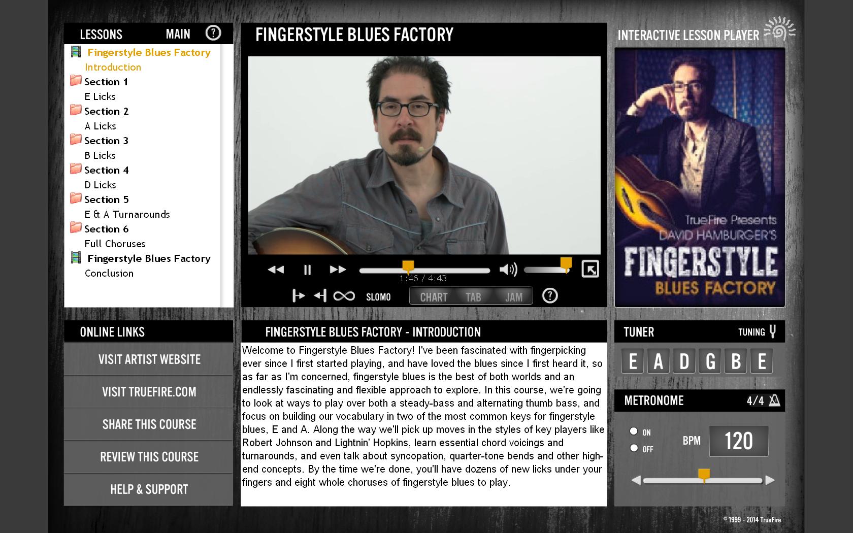 Truefire - David Hamburger's Fingerstyle Blues Factory (2014)