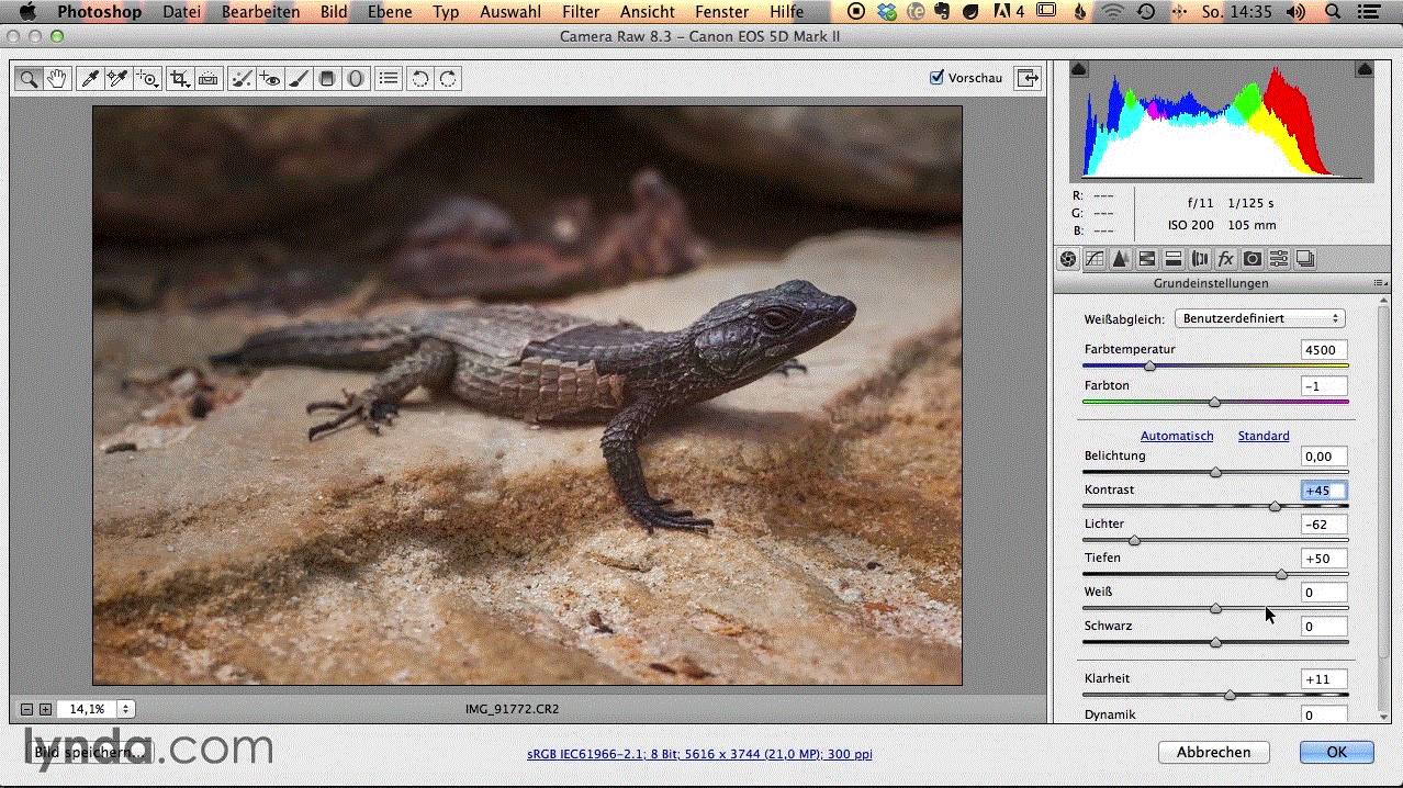  Projekt Capetown Fotografieren in Südafrika: Freihand-Panorama, HDR, Tiere