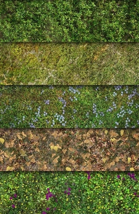 Ground and Grass texture 草地纹理