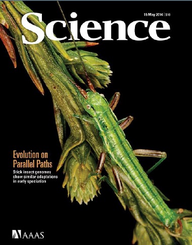Science – 16 May 2014-P2P