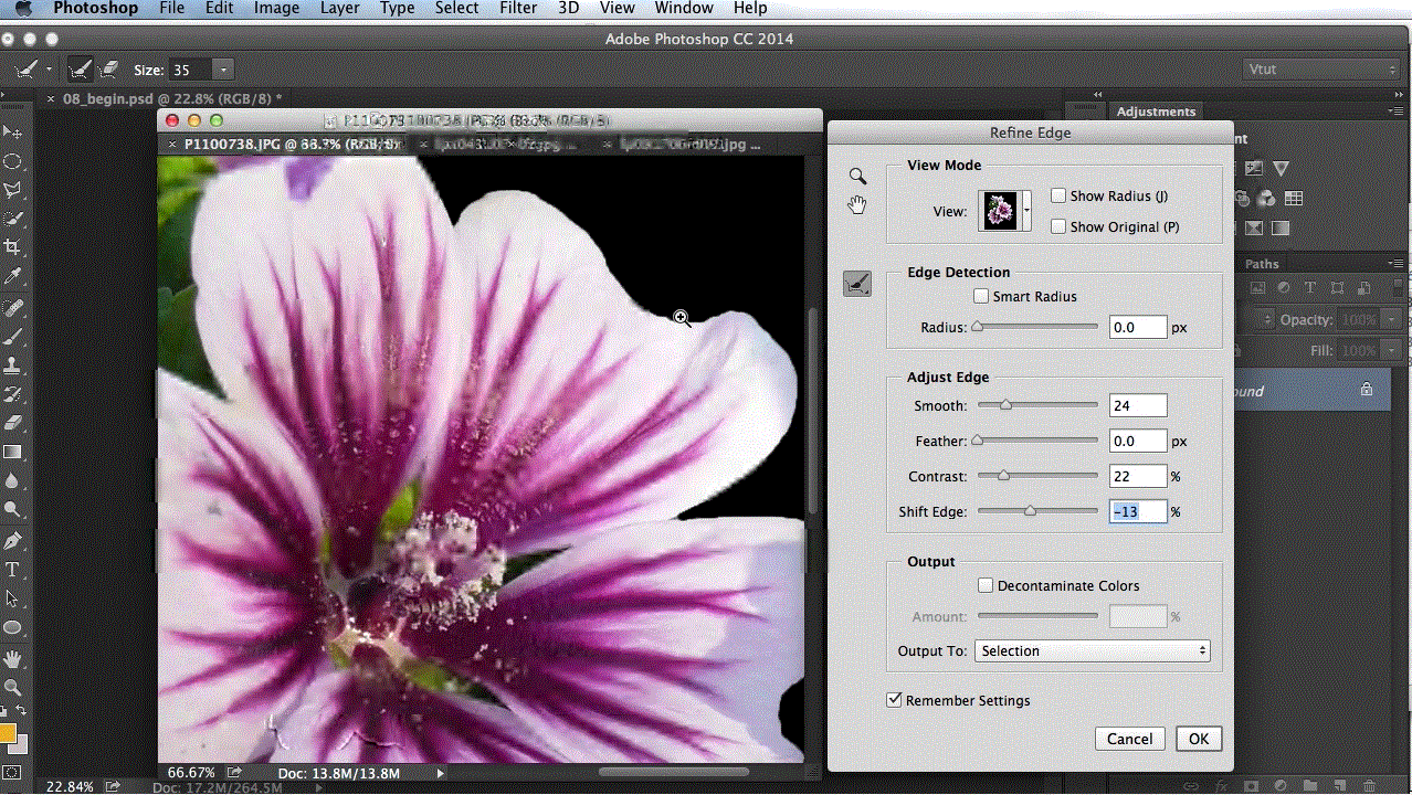 Designing a Surreal Skull in Photoshop