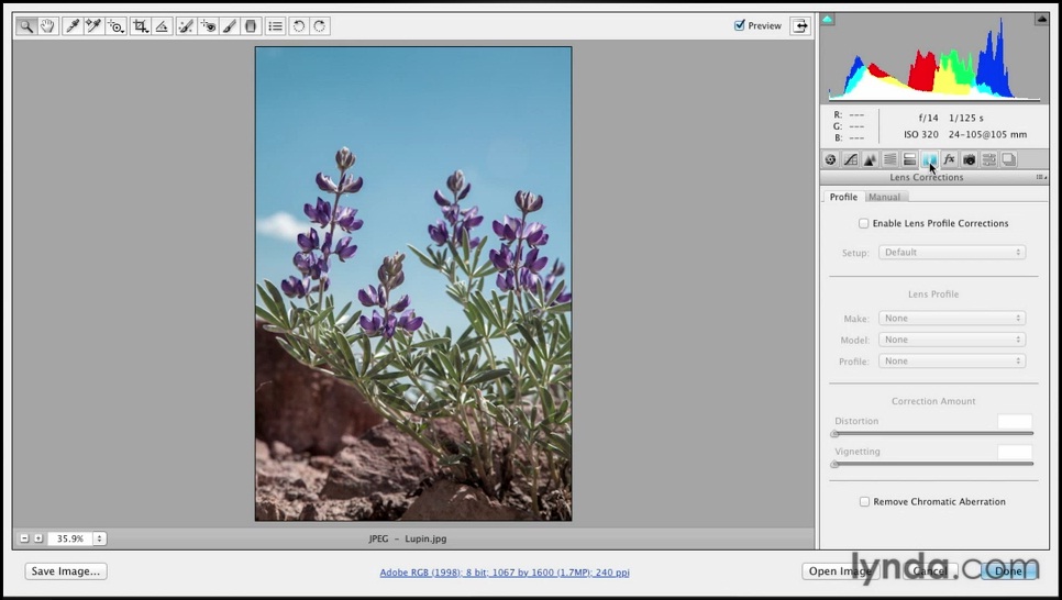 Lynda – Photoshop CS6 Essential Training with Julieanne Kost