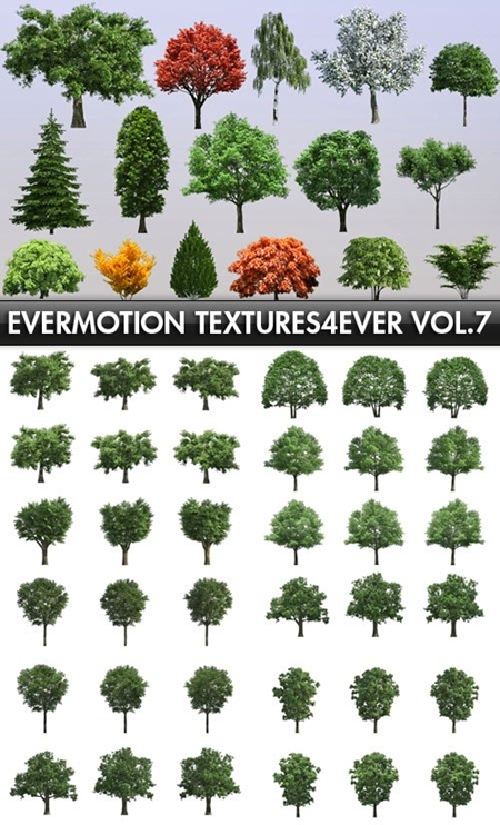 Evermotion Textures4ever vol 7 