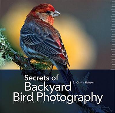 Secrets of Backyard Bird Photography by J. Chris Hansen-P2P