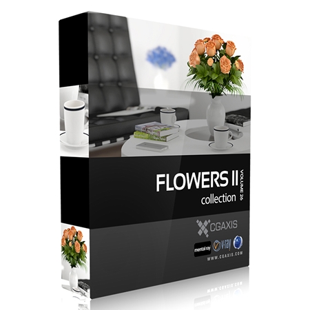 CGAxis Models Volume 26 Flowers II 盆栽植物3D模型合辑