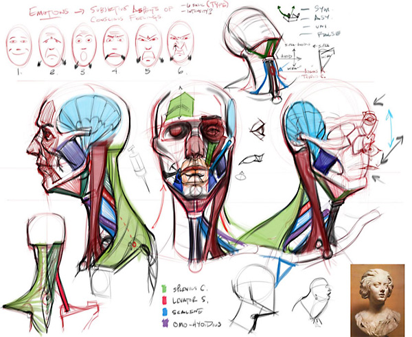 CGMA - Analytical Figure Drawing 2 [Repost]