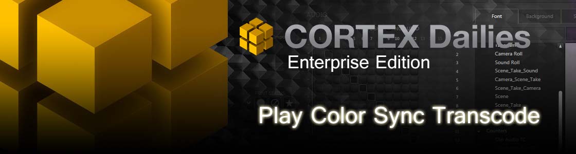 MTI Film CORTEX Dailies Enterprise Edition v1.5.4475.1