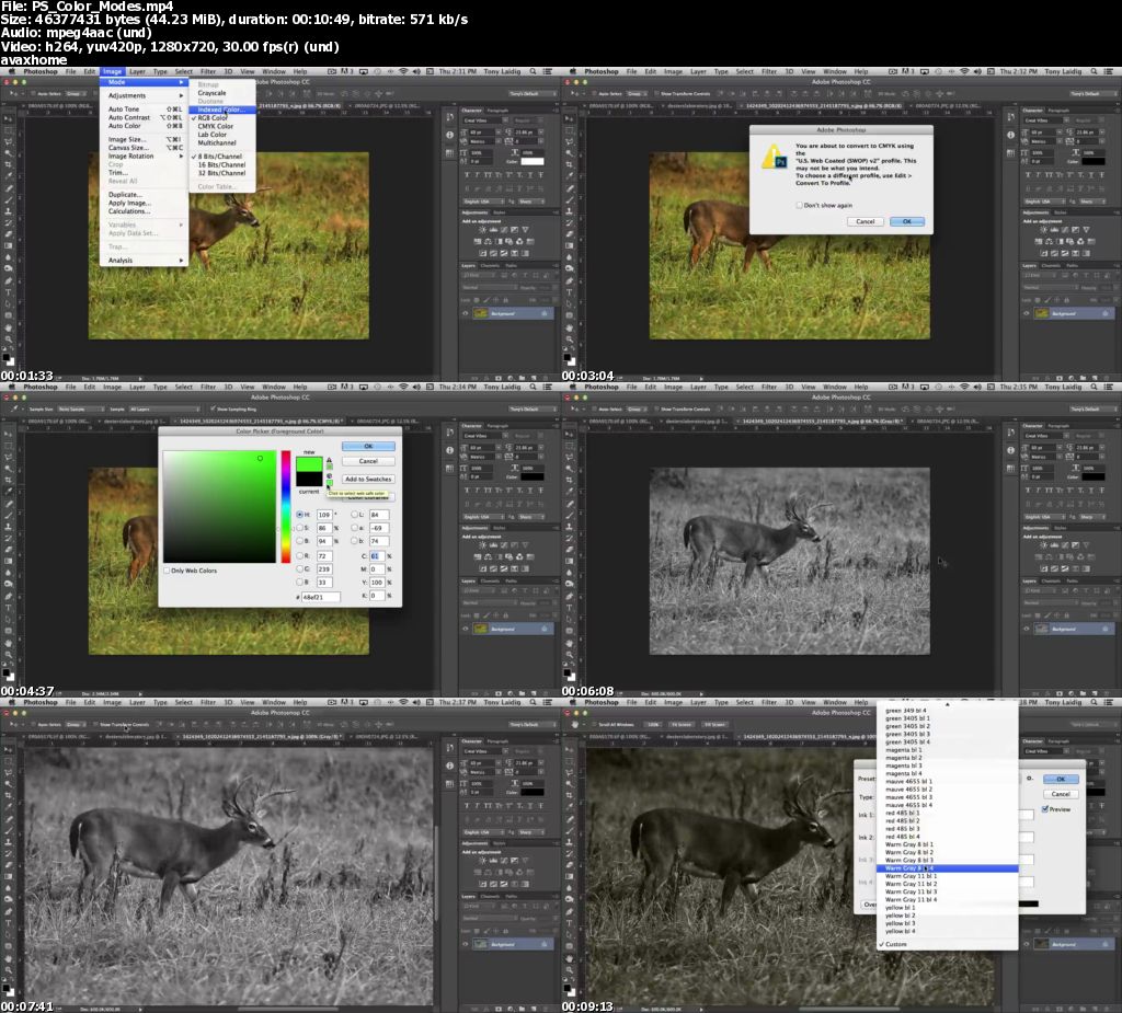 The PhotoShop Instant Expert