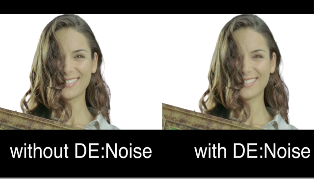 Revisionfx DE:Noise v3 OFX x64