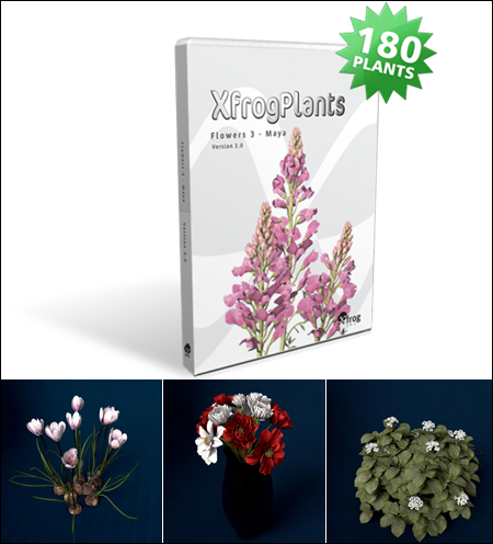 XfrogPlants FLOWERS 3