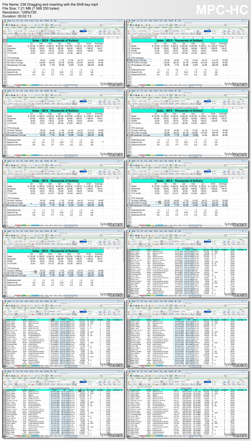 Lynda - Excel for Mac 2011 Tips and Tricks