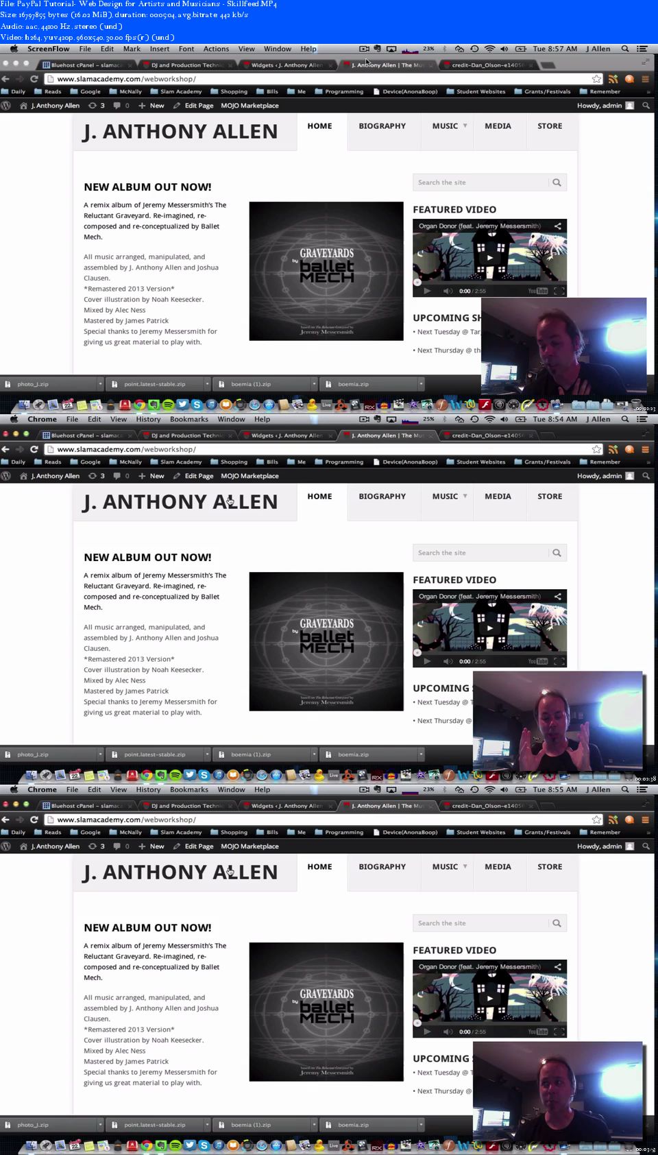 Web Design for Artists and Musicians