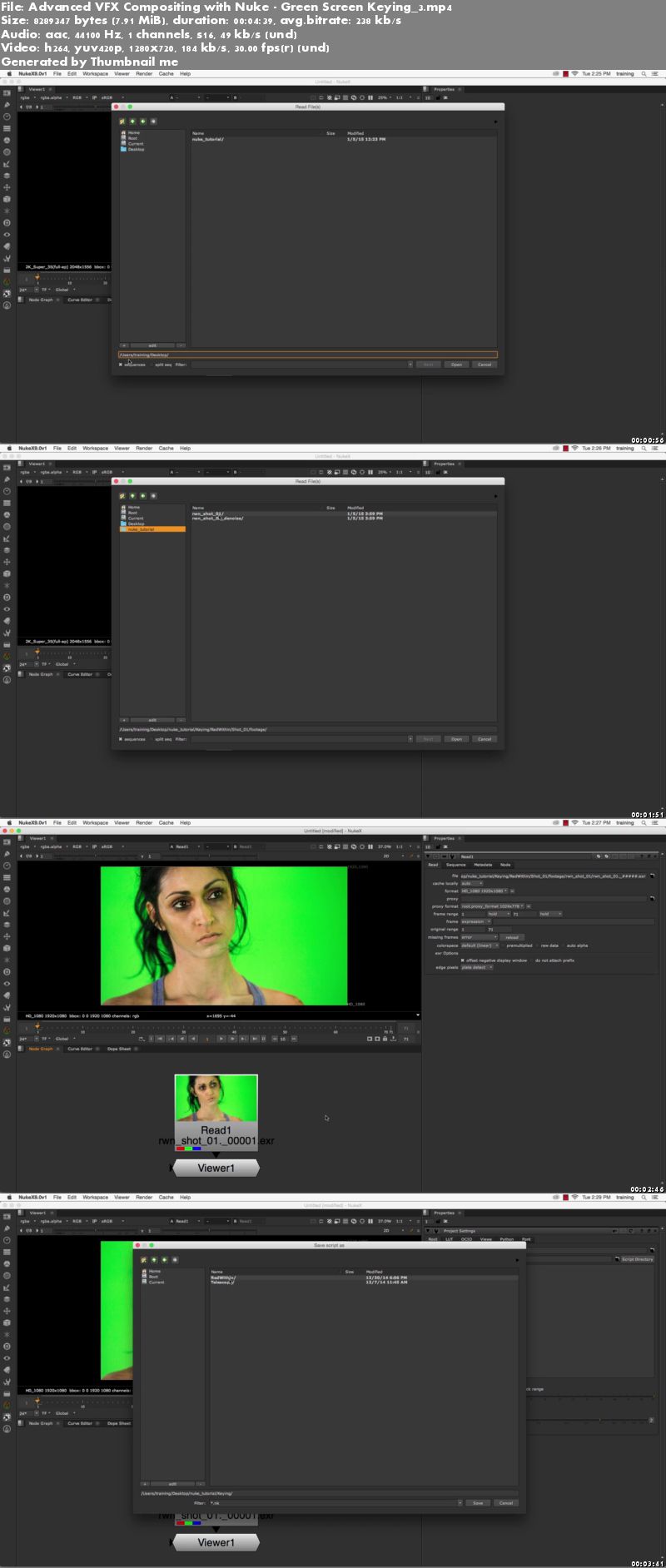 Advanced VFX Compositing with Nuke : Green Screen Keying