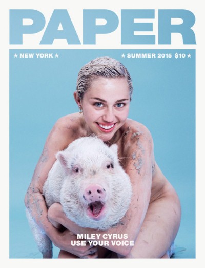Paper – Summer 2015-P2P