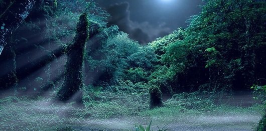 Using Photoshop to Alter the Lighting of an Image