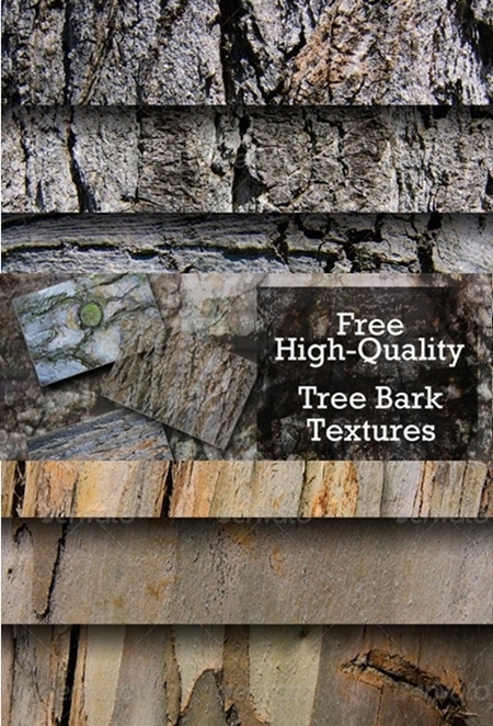 Tree Bark Textures 20 Set 1