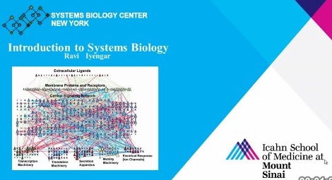 Icahn School of Medicine - Introduction to Systems Biology