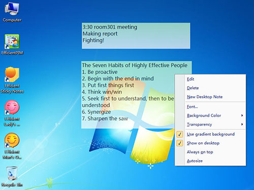 Efficient Sticky Notes Pro 5.60 Build 547 Multilingual