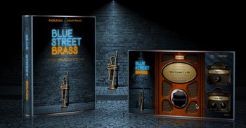 Indiginus Blue Street Brass KONTAKT screenshot