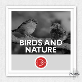 Big Room Sound Birds and Nature WAV screenshot