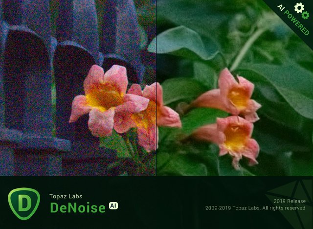 Topaz DeNoise AI 1.1.0