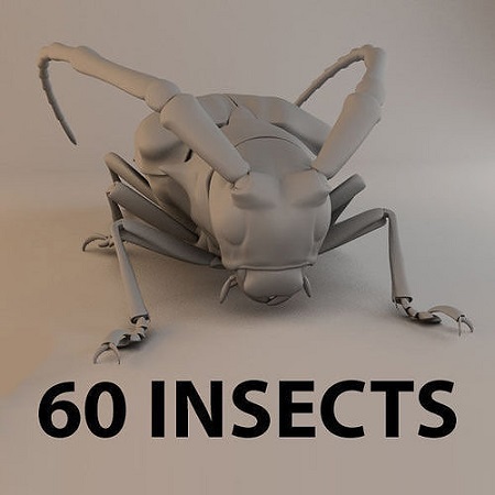 Post Cover