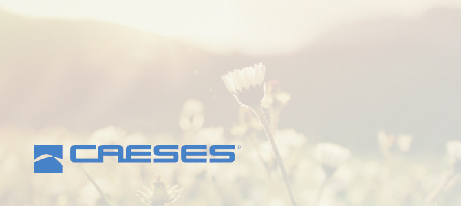 Friendship System CAESES 4.4.2