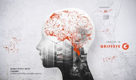 Griffeye Analyze DI Pro 18.5 x64