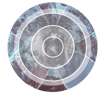 Halflight Sampling Collection KONTAKT screenshot