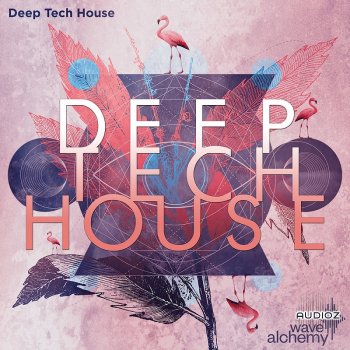 Wave Alchemy Deep Tech House MULTiFORMAT-DECiBEL