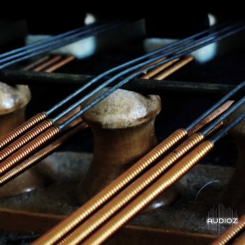 Detunized Cimbalom LIVE