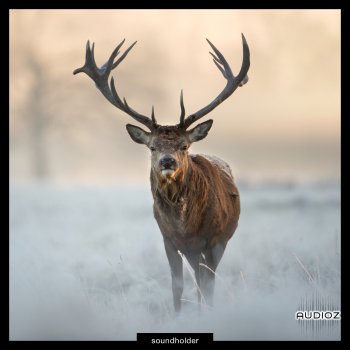 Soundholder Roaring Stags WAV screenshot