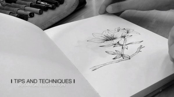 Botanical Illustration: Tips and techniques