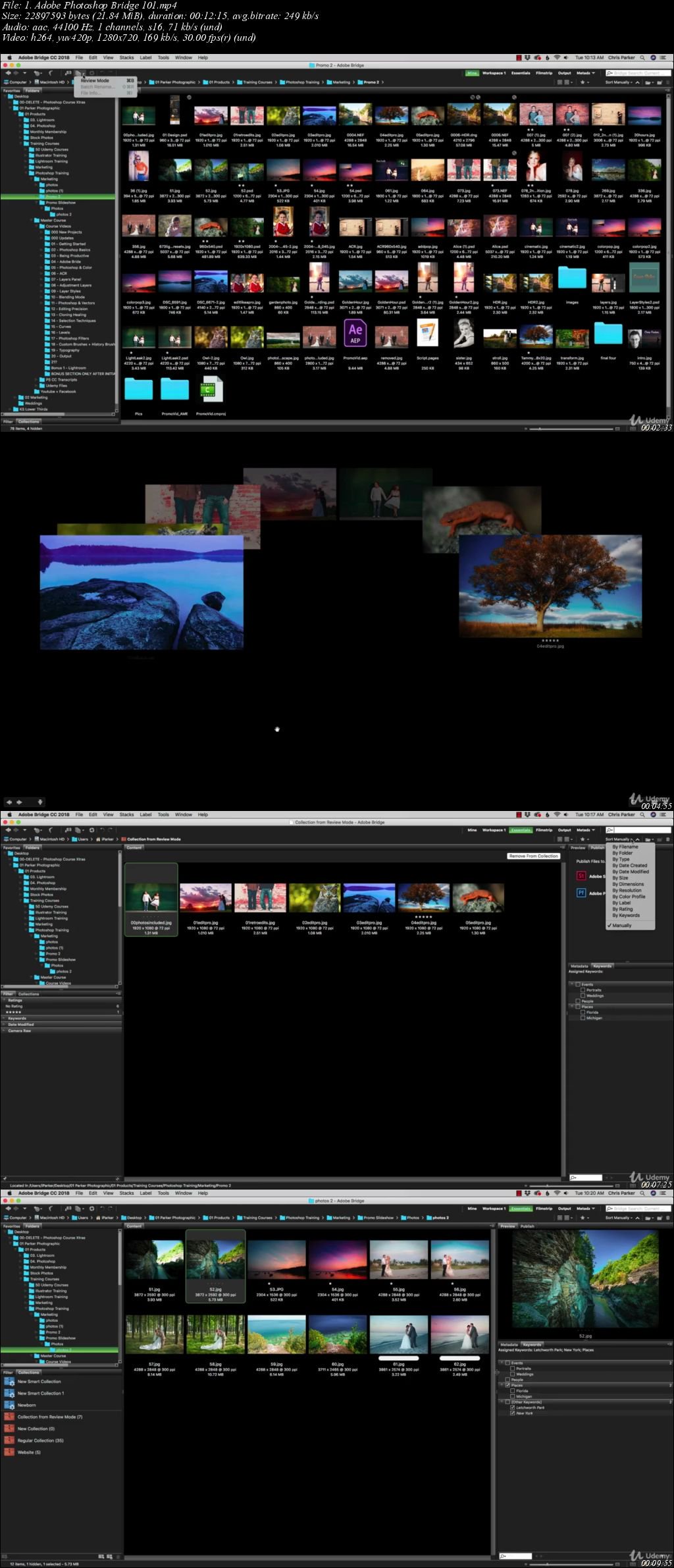 Adobe Photoshop CC 2019, Photoshop Essentials With 30 Hours