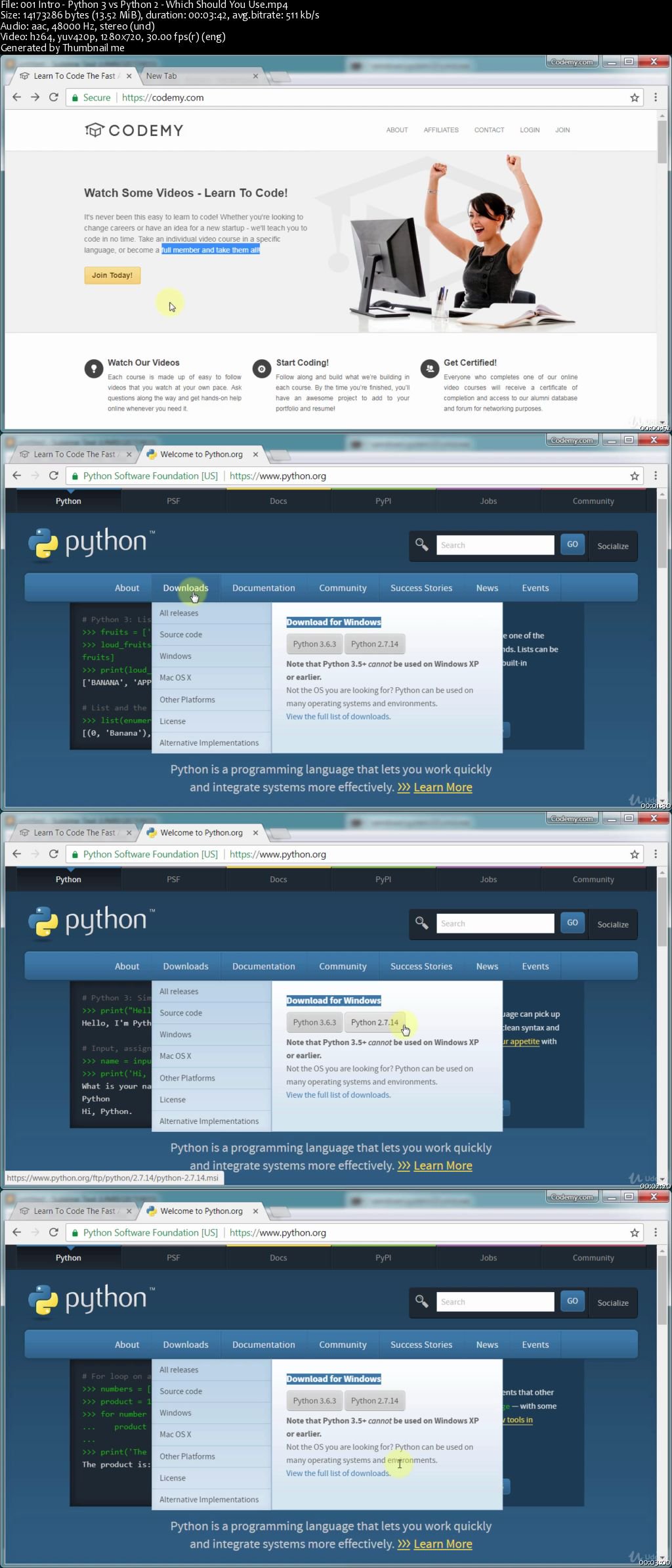 Python and Javascript Programming Bundle