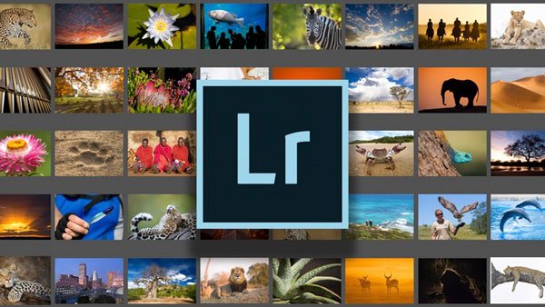 Adobe Lightroom Classic CC – Beginner Level
