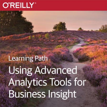 Learning Path: Using Advanced Analytics Tools for Business Insight