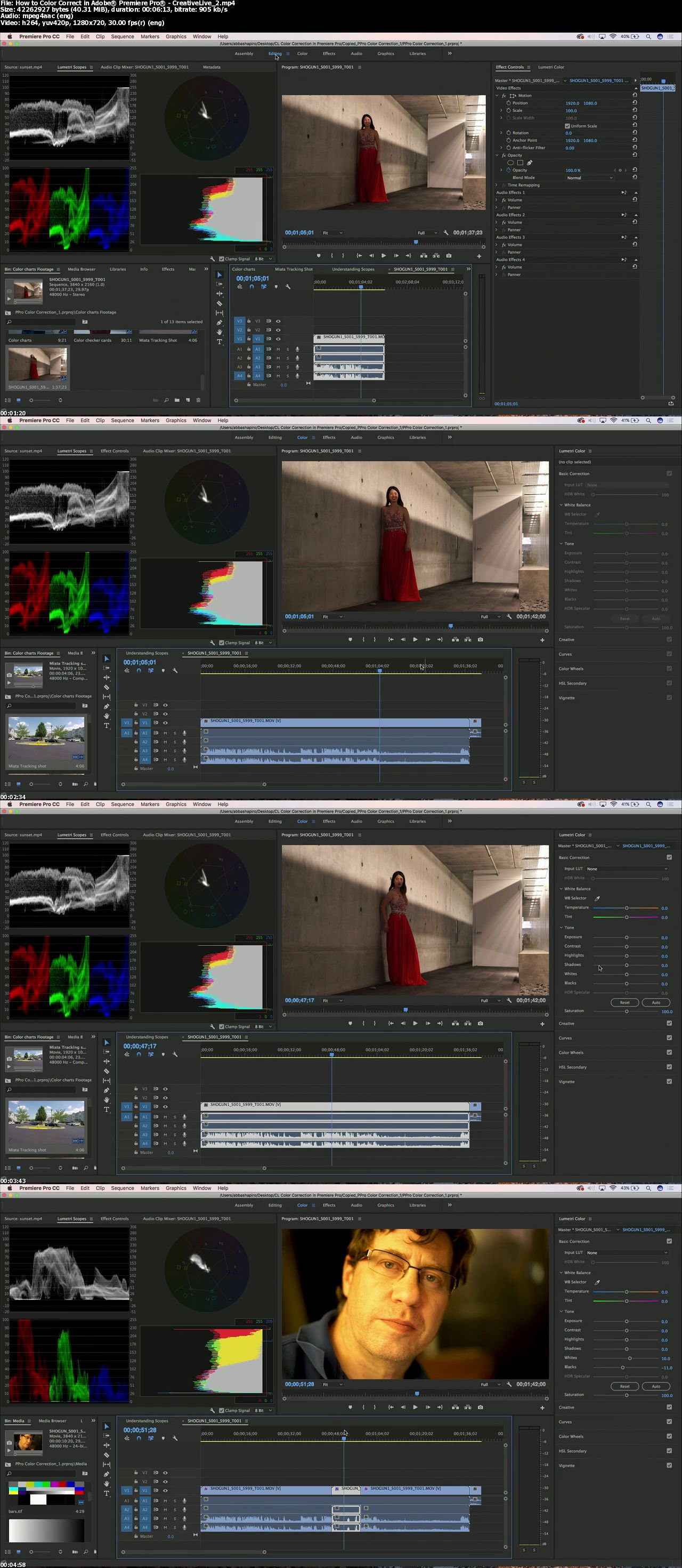 How to Color Correct in Adobe Premiere Pro