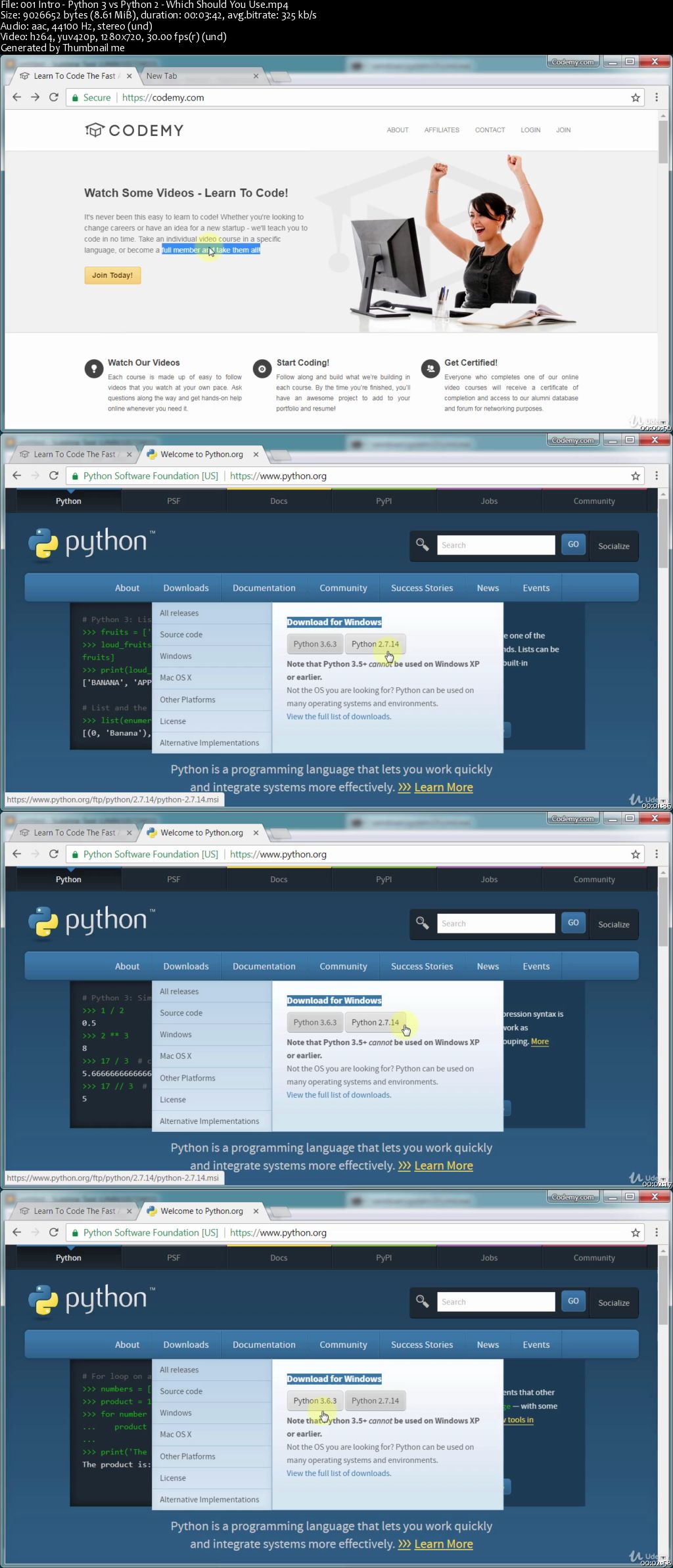 Python and Ruby Programming Bundle