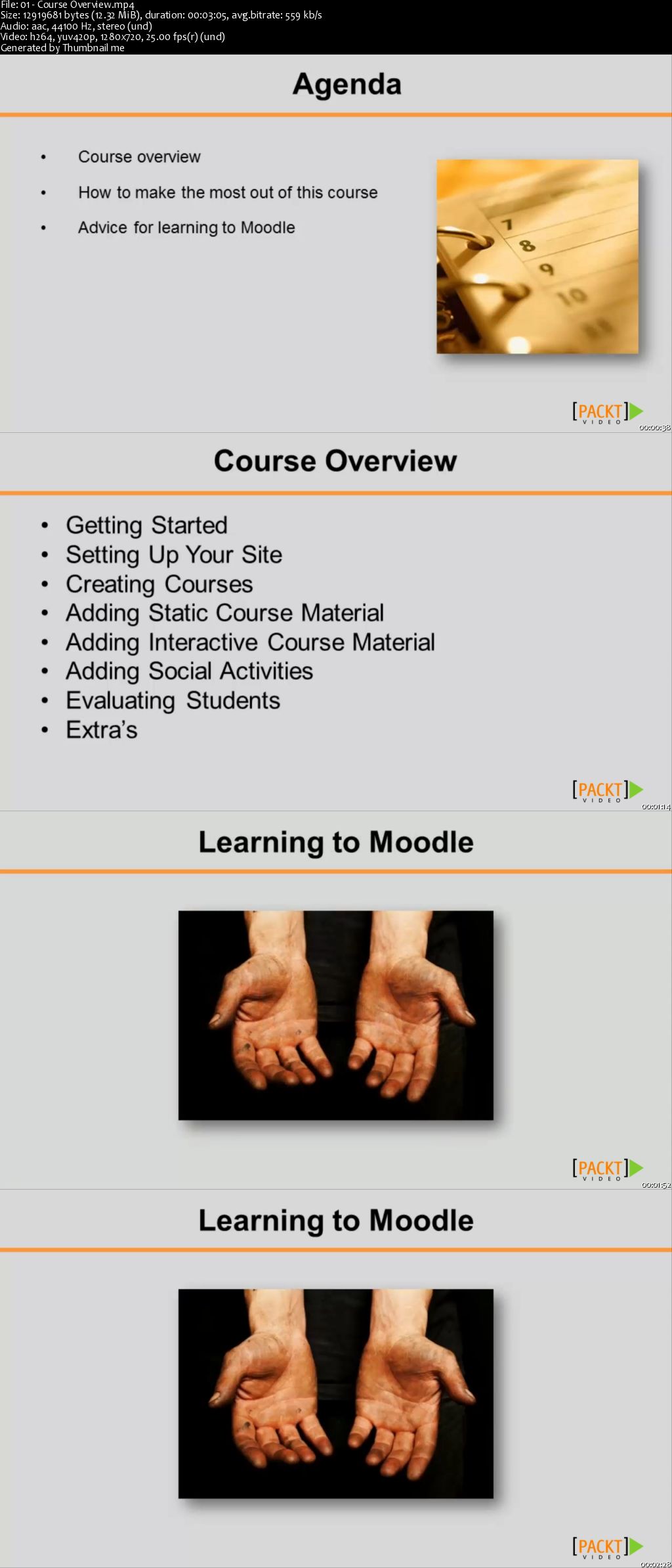 Moodle Course Development