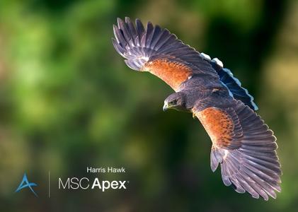 MSC Apex Harris Hawk SP1 x64