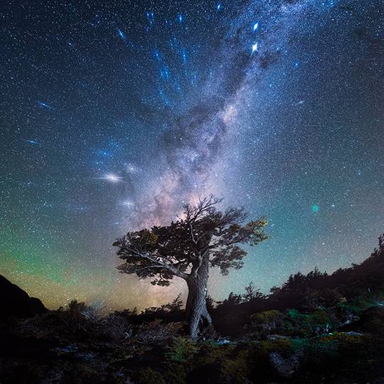 Daniel Kordan Photography – Patagonia Night Sky Panorama Baobab