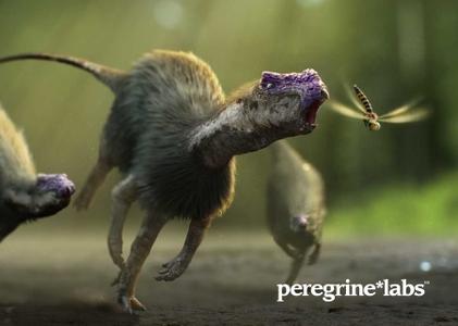 Peregrine Labs Yeti 3.0.0 for Maya 2018