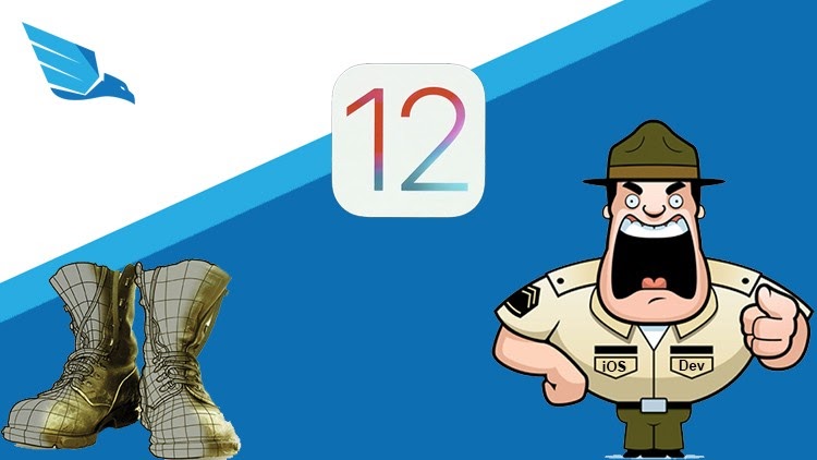 iOS12 Bootcamp from Beginner to Professional iOS Developer (2018)
