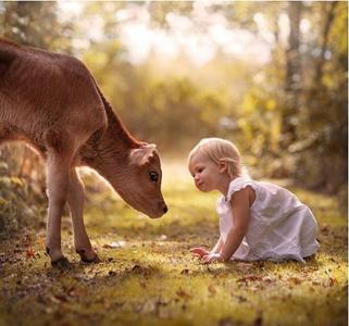 Elena Shumilova Photography -  Video 1702