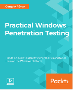 Practical Windows Penetration Testing