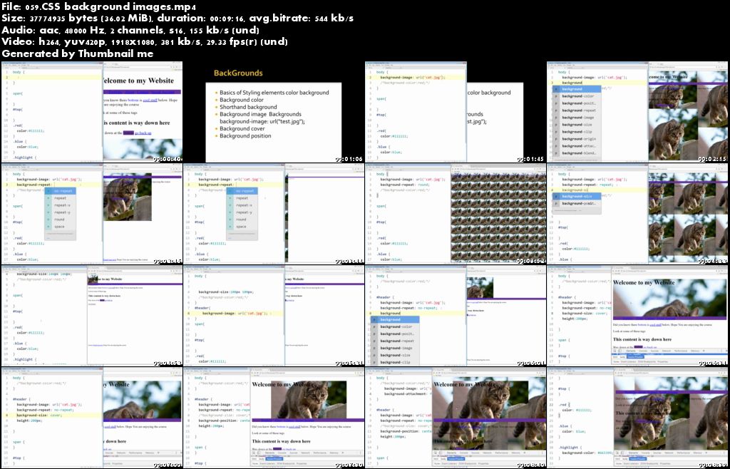 A Front-End Web Developer MasterClass Using HTML, CSS, and JavaScript 