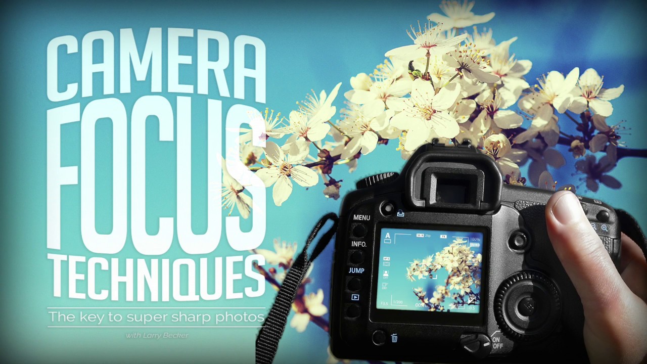 Camera Focus Techniques: The Key To Super Sharp Photos